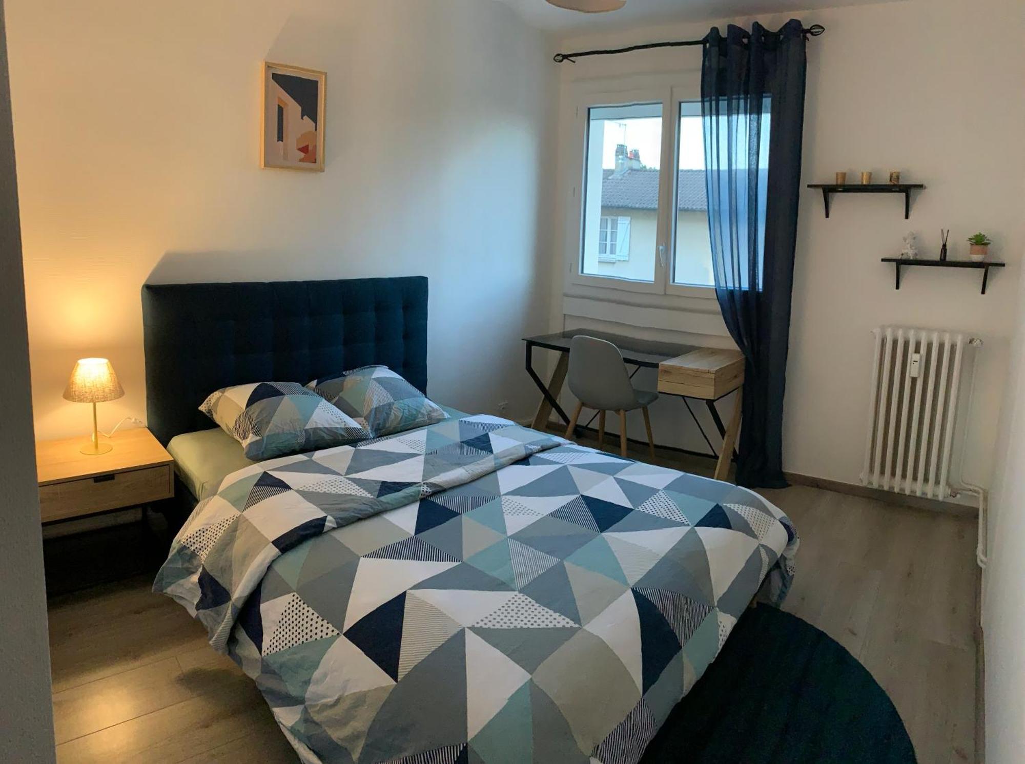 Bel Appartement Renove En Centre Ville リモージュ エクステリア 写真